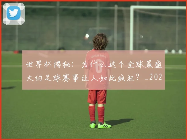 世界杯揭秘：为什么这个全球最盛大的足球赛事让人如此疯狂？_20260609201313